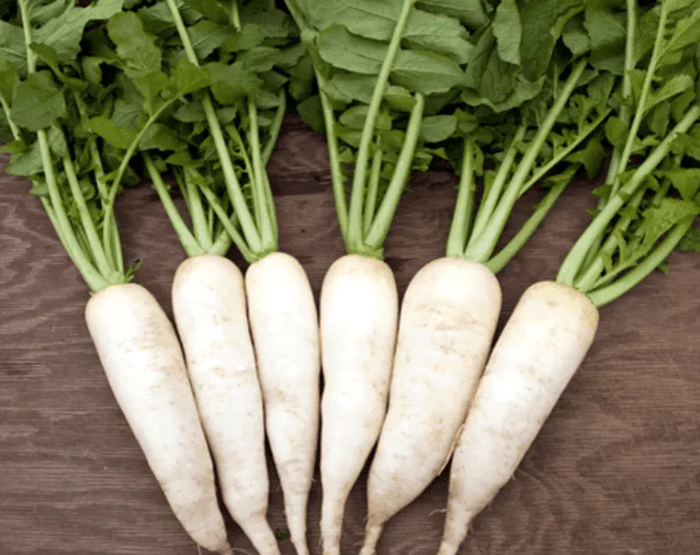 A bushel of white radishes displayed upon a table. 